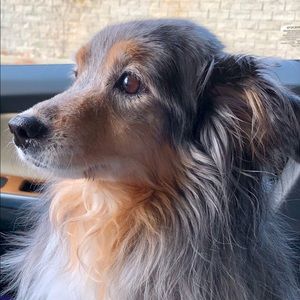 Meet your Posher, Patricia